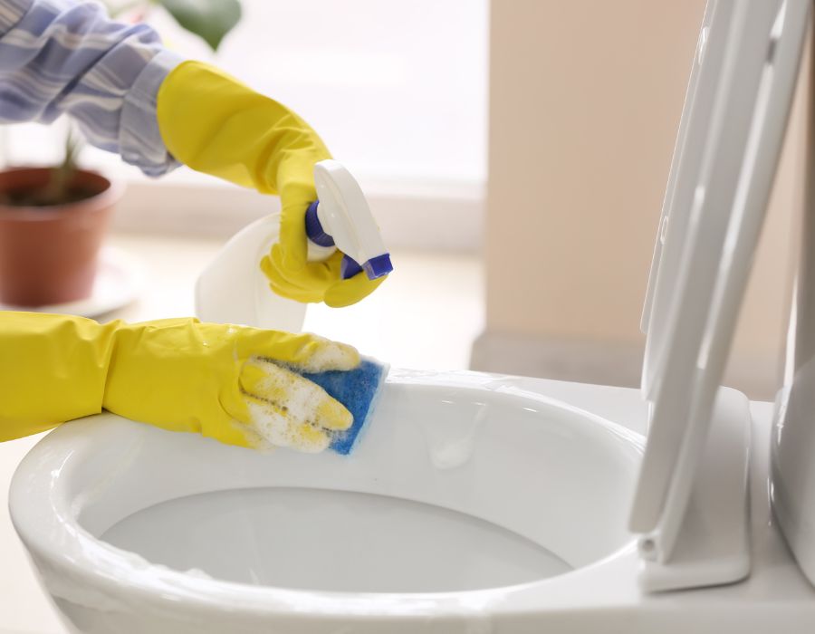 How Apartment Cleaning Services Ensure a Healthy Living Environment