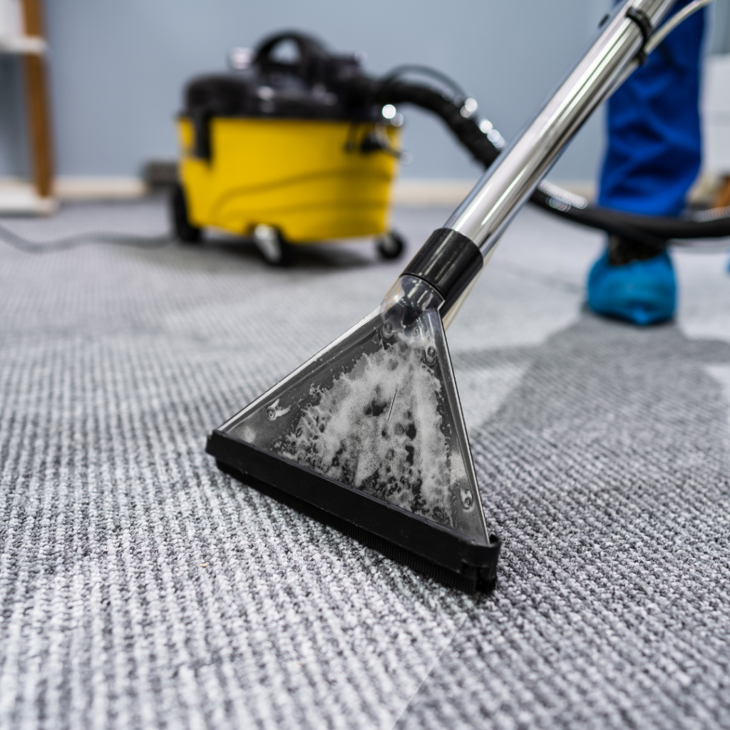 Explore Your Options: Commercial Carpet Cleaning in Manchester