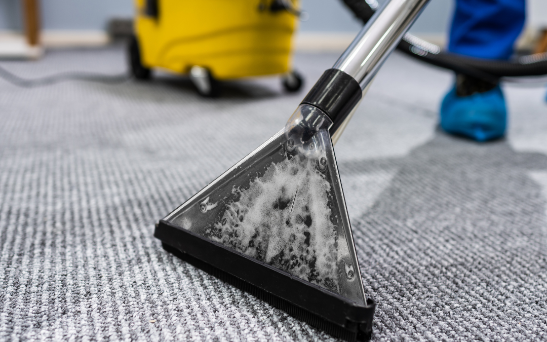 Your Guide to Finding Local Carpet Cleaners Near You