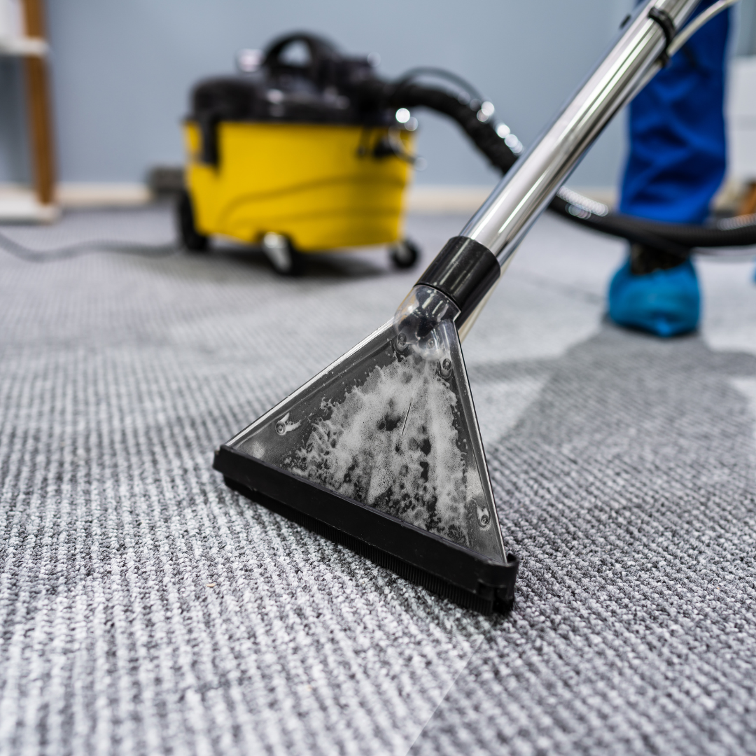 Local Commercial Carpet Cleaning Companies: A Comprehensive List