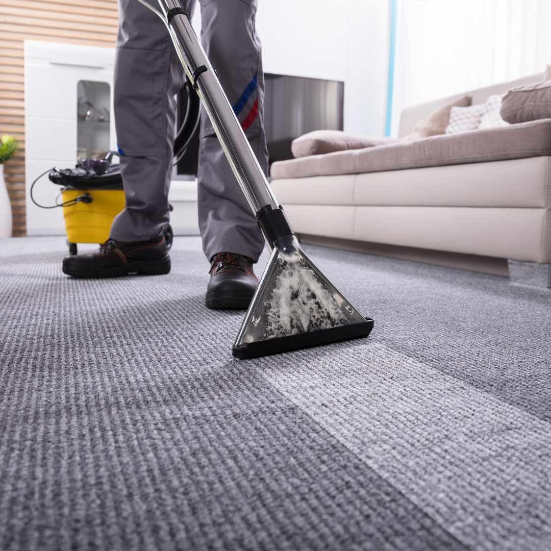 Carpet Cleaning in Manchester, NH: What You Need to Know