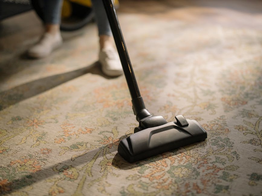 How to Keep Your Commercial Building Carpets Spotless