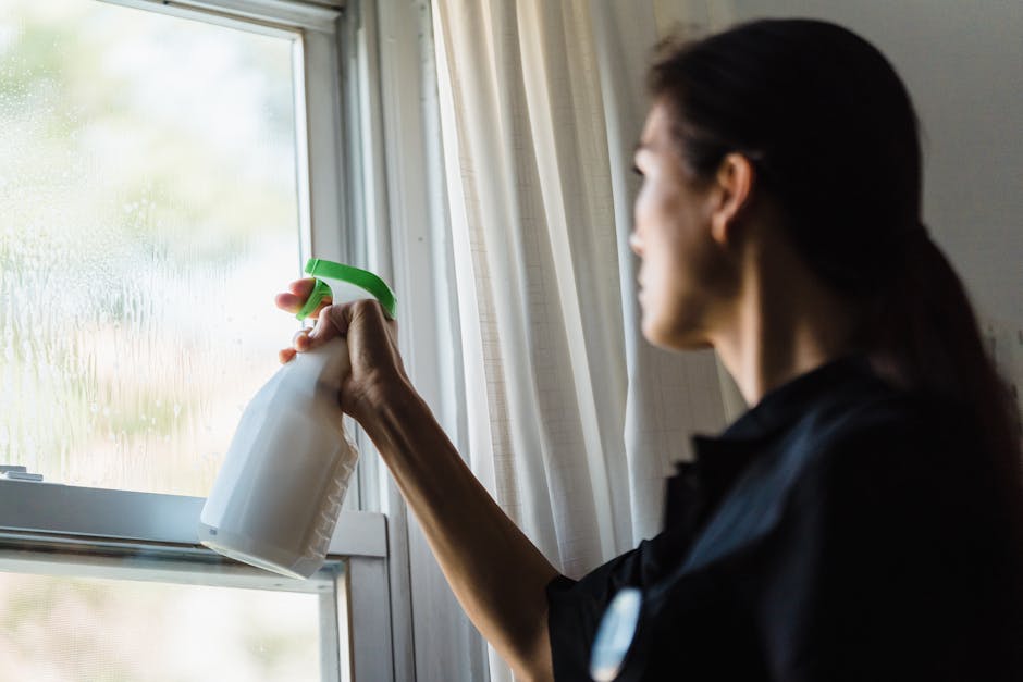 Affordable Window Cleaning Services in Nashua, NH