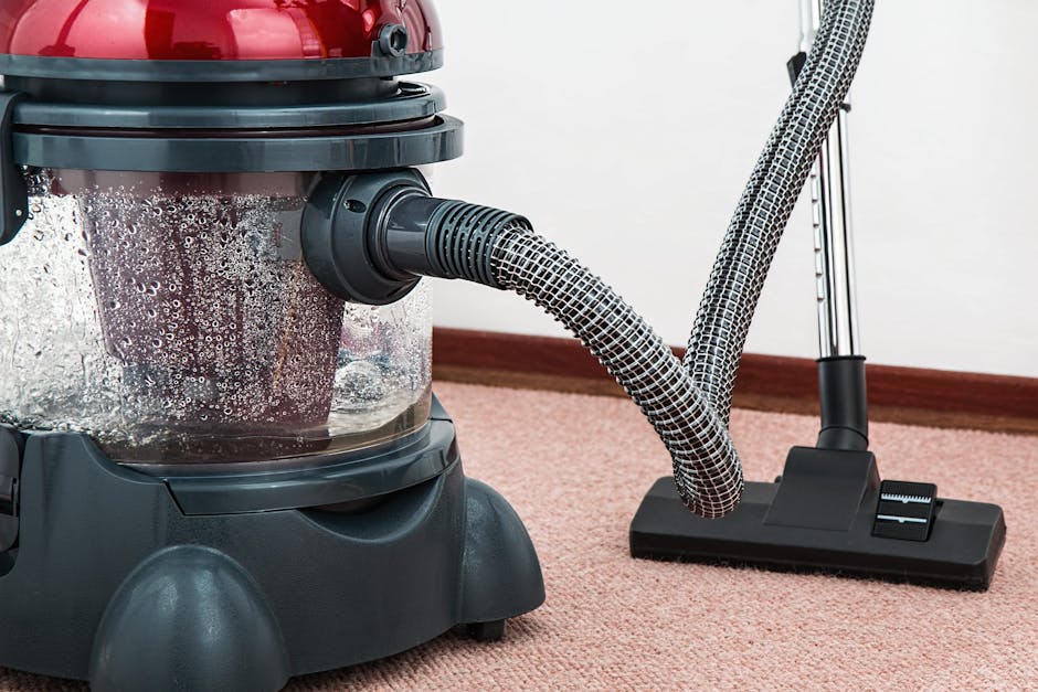 Carpet Shampooing Services: A Clean Sweep for Your Business Carpet Shampooing Services: A Clean Sweep for Your Business